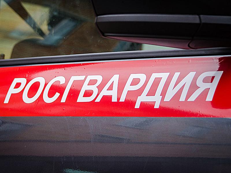 В Псковской области сотрудники Росгвардии осуществляют охрану общественного порядка в пострадавших от стихии районах