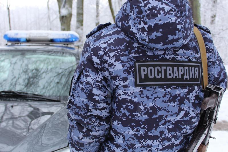 В Калининграде сотрудниками вневедомственной охраны пресечено десять административных правонарушений и одно преступление
