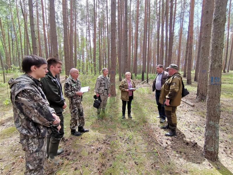 Натурная тренировка Смоленских лесопатологов