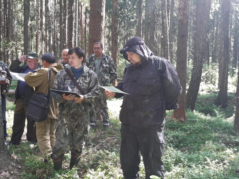 В Смоленской области прошла коллективная натурная тренировка лесопатологов