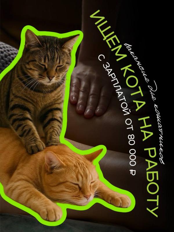 Массажный салон из Уфы разыскивает гипоаллергенного сотрудника